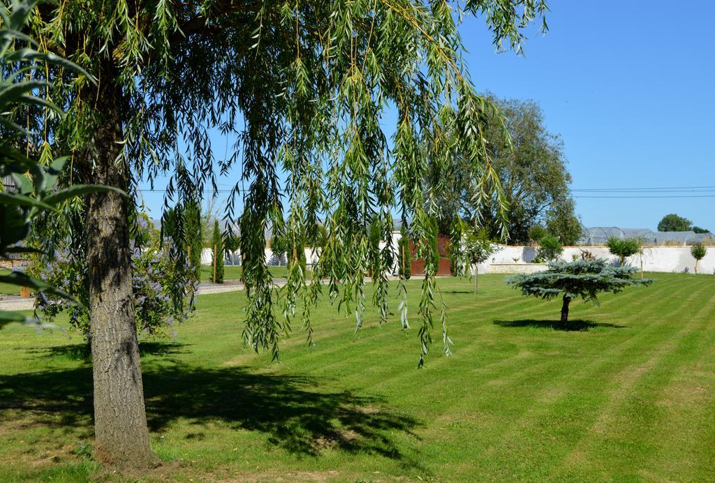 Le Coteau De Bazeille Sauna&Detente Sas Sainte-Bazeille ภายนอก รูปภาพ