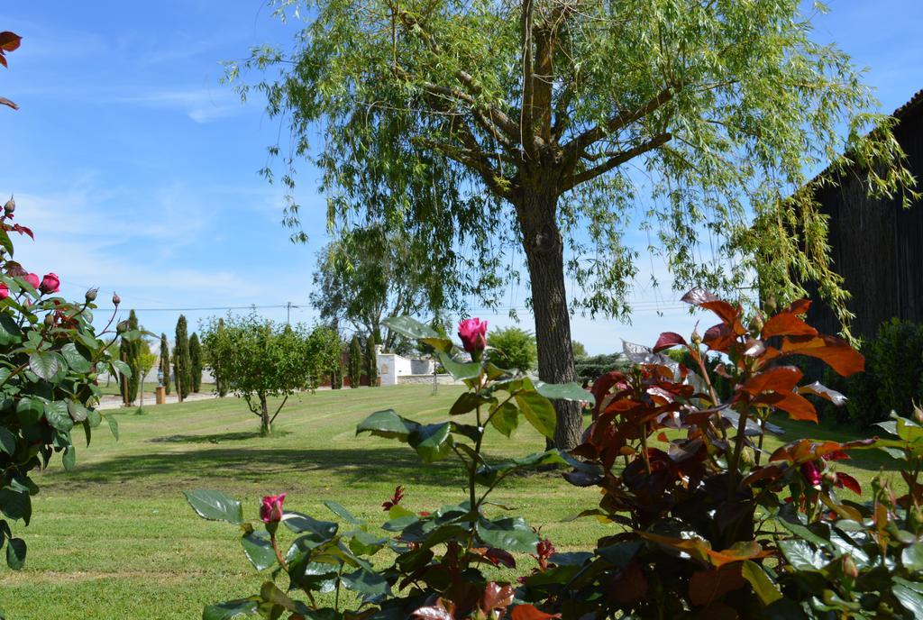 Le Coteau De Bazeille Sauna&Detente Sas Sainte-Bazeille ภายนอก รูปภาพ