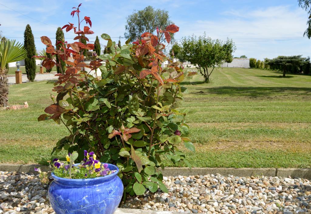 Le Coteau De Bazeille Sauna&Detente Sas Sainte-Bazeille ภายนอก รูปภาพ