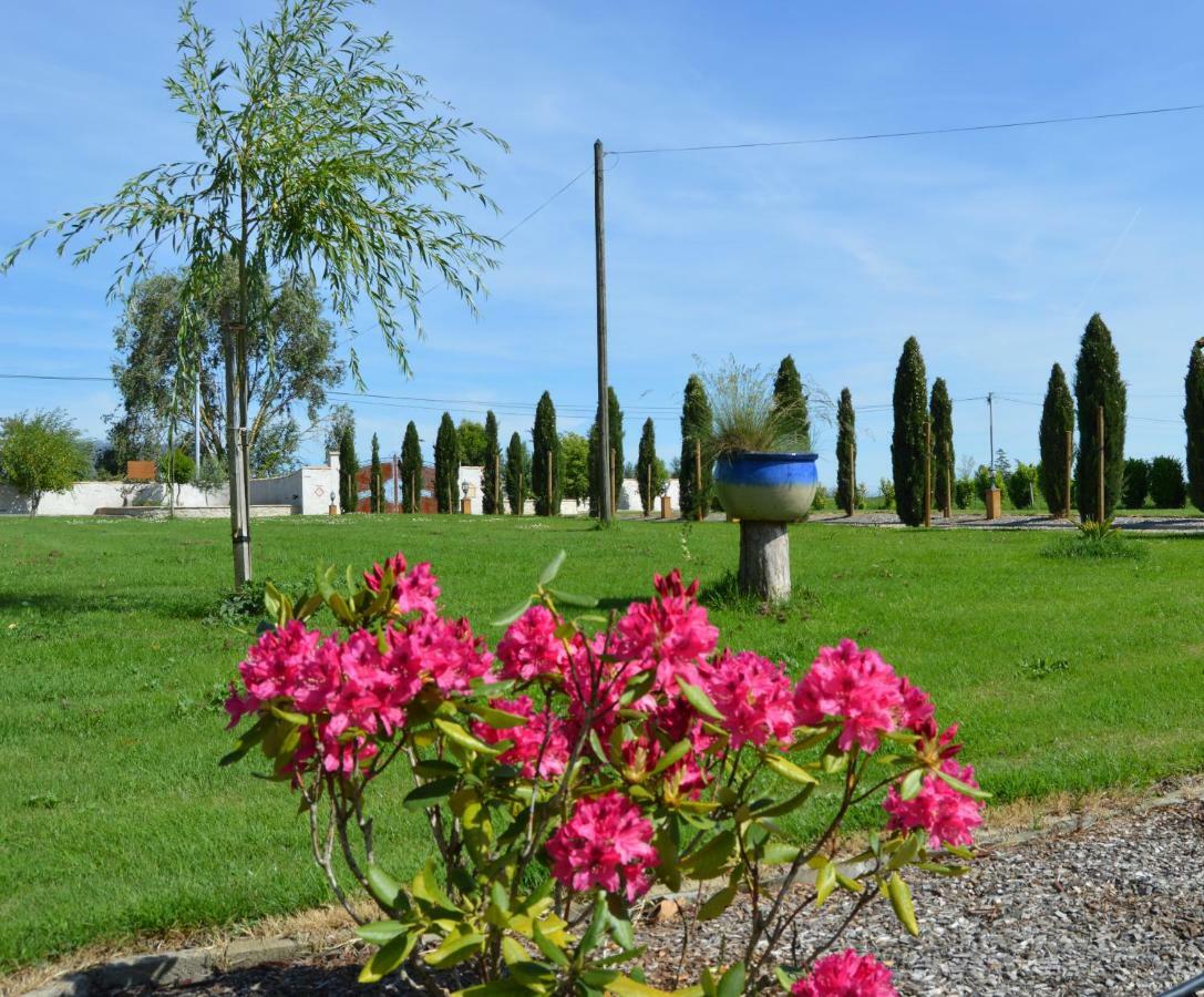 Le Coteau De Bazeille Sauna&Detente Sas Sainte-Bazeille ภายนอก รูปภาพ